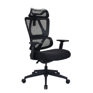 Double-Back Ergonomic Chair
